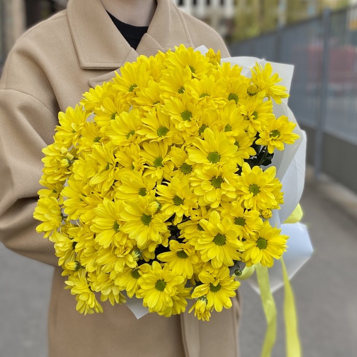 9 желтых кустовых хризантем Бакарди
