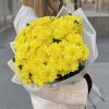 9 желтых кустовых хризантем Балтика