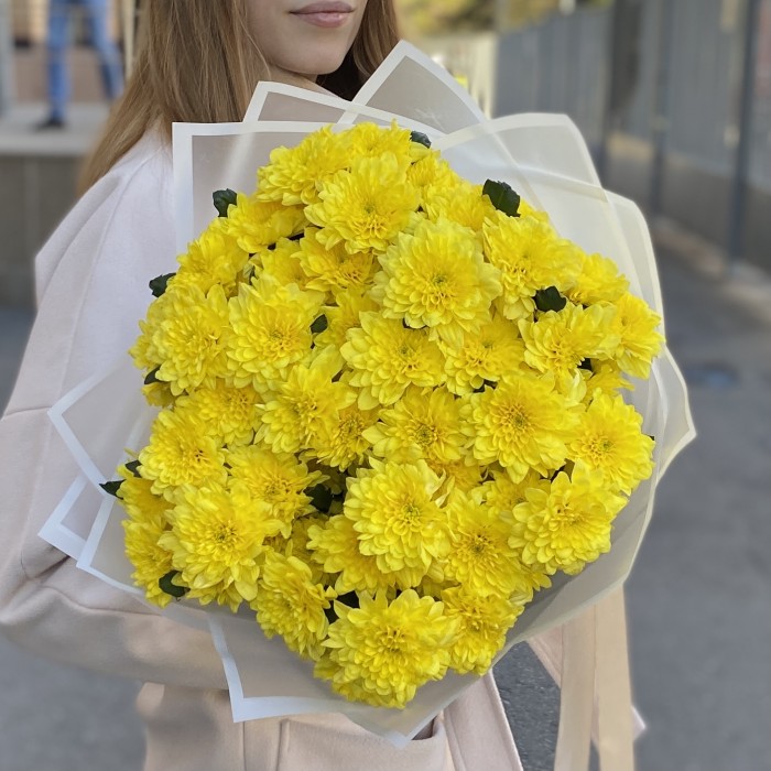 9 желтых кустовых хризантем Балтика