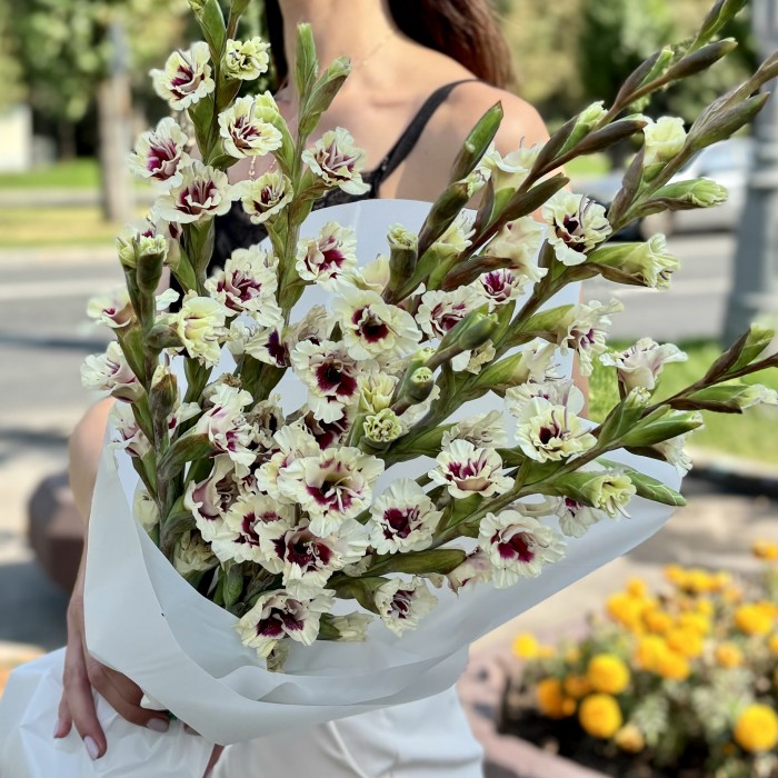 9 бело-фиолетовых гладиолусов