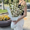 9 бело-фиолетовых гладиолусов