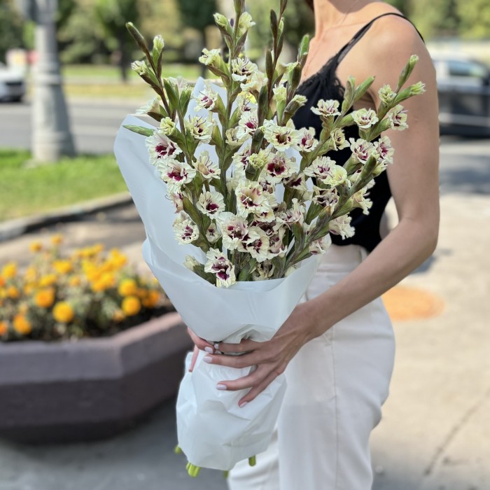 9 бело-фиолетовых гладиолусов