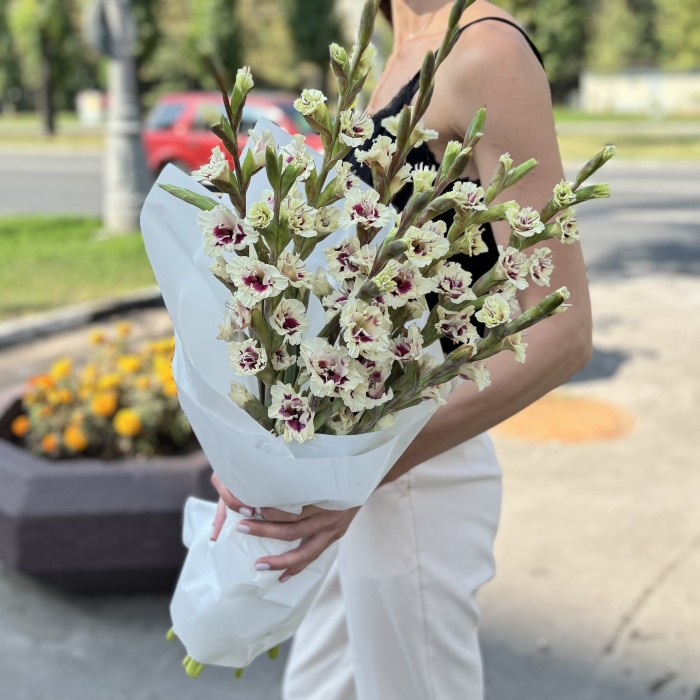 9 бело-фиолетовых гладиолусов