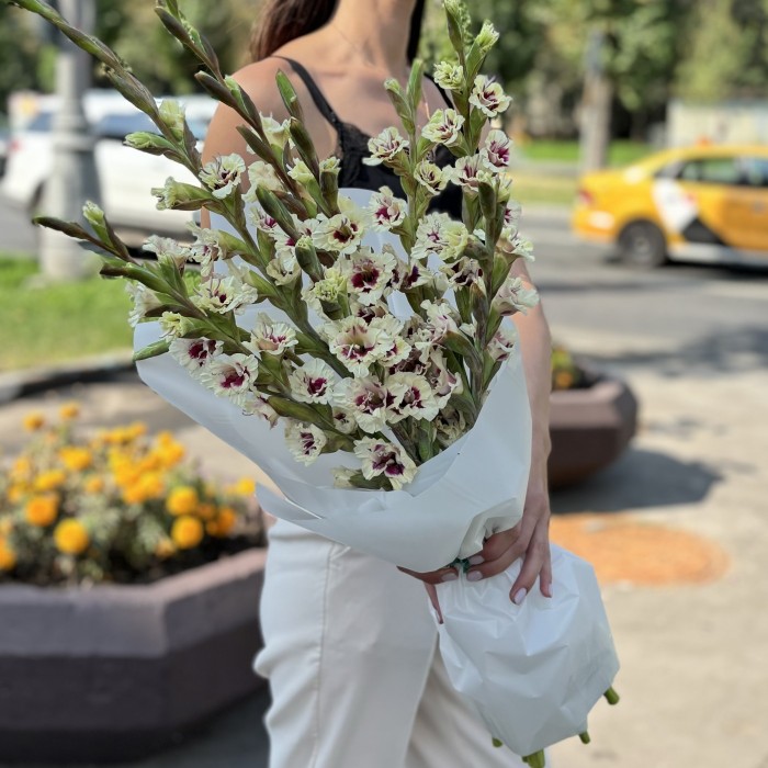9 бело-фиолетовых гладиолусов