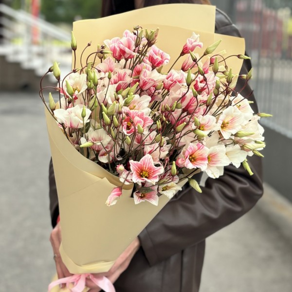 Букет из 9 бело-розовых крашеных эустом