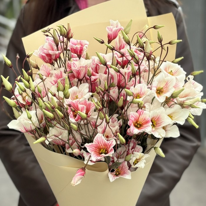 Букет из 9 бело-розовых крашеных эустом