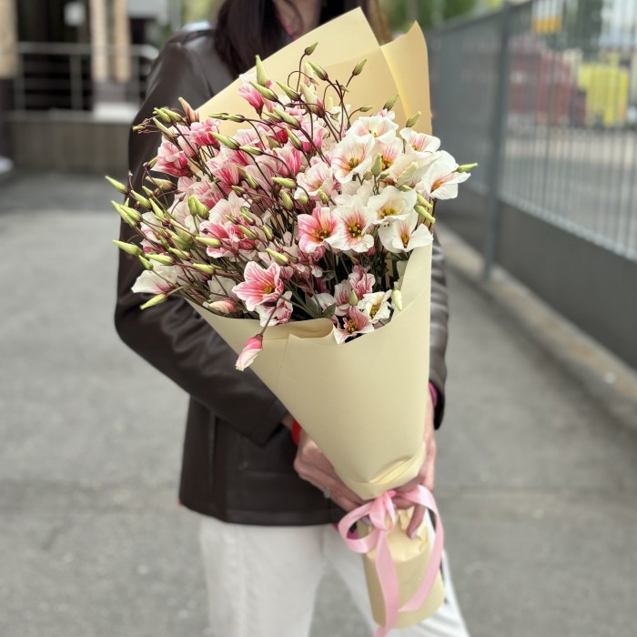 Букет из 9 бело-розовых крашеных эустом