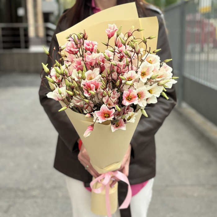 Букет из 9 бело-розовых крашеных эустом