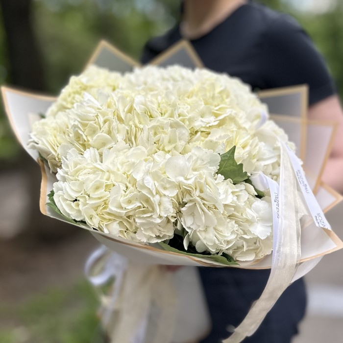 9 белых гортензий