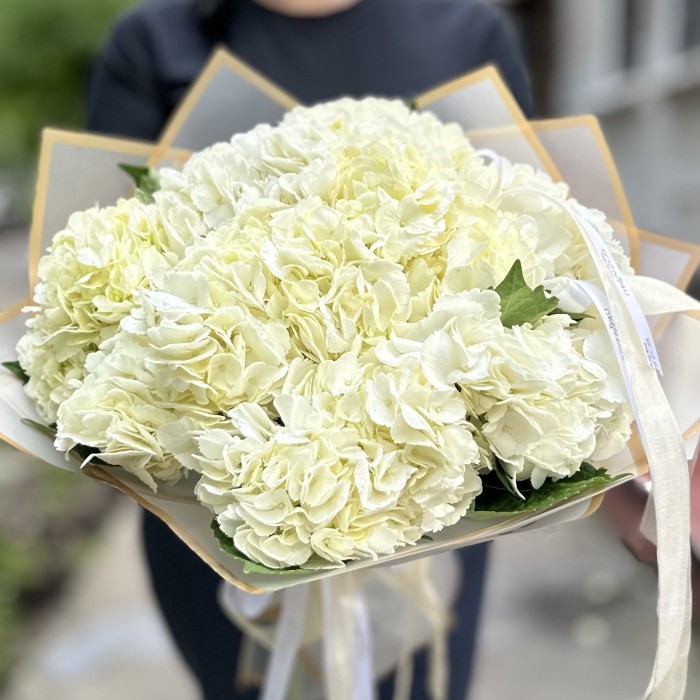 9 белых гортензий