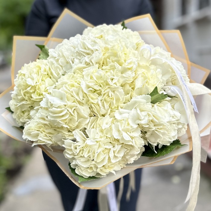 9 белых гортензий