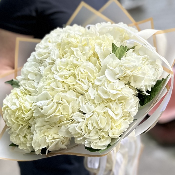 9 белых гортензий