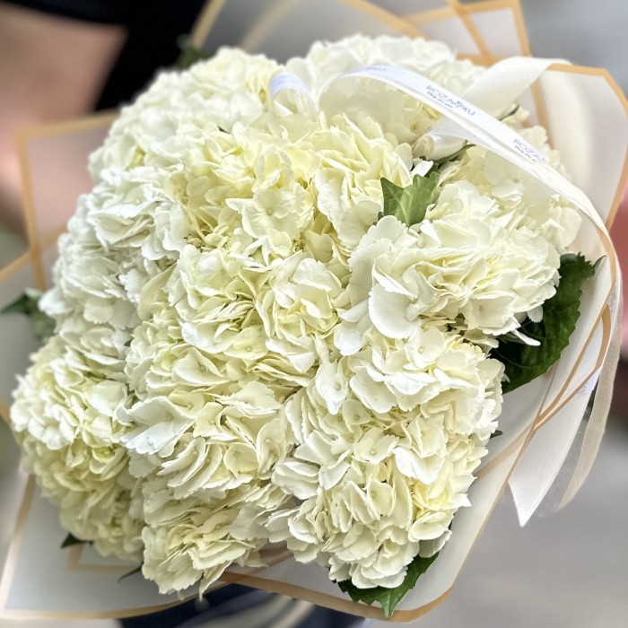 9 белых гортензий