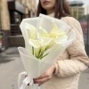 9 белых калл