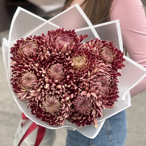 9 бордовых хризантем