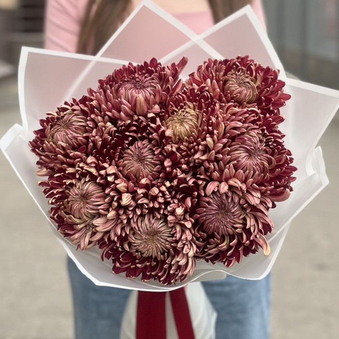9 бордовых хризантем
