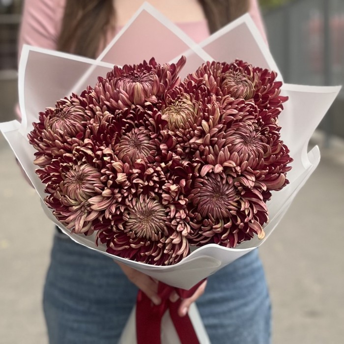 9 бордовых хризантем