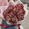 9 бордовых хризантем