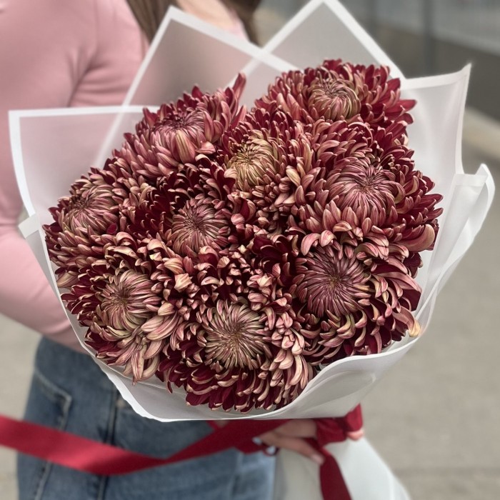 9 бордовых хризантем