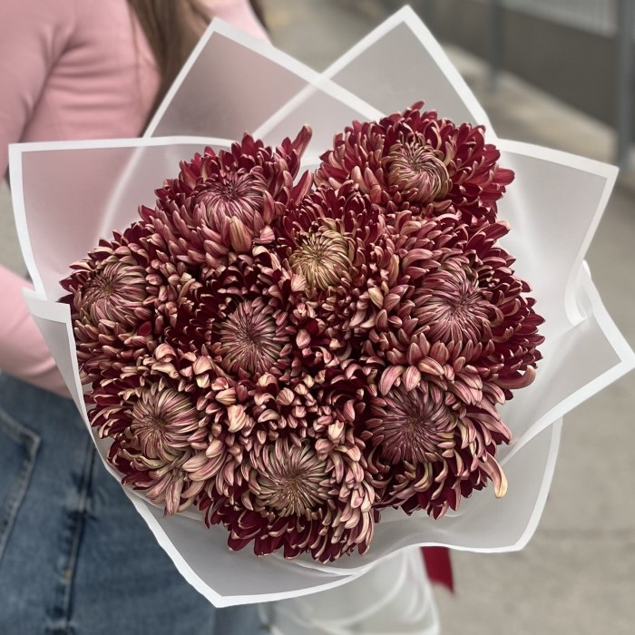 9 бордовых хризантем
