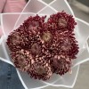 9 бордовых хризантем