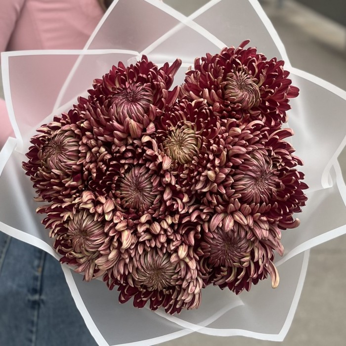 9 бордовых хризантем