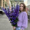 9 фиолетовых дельфиниумов