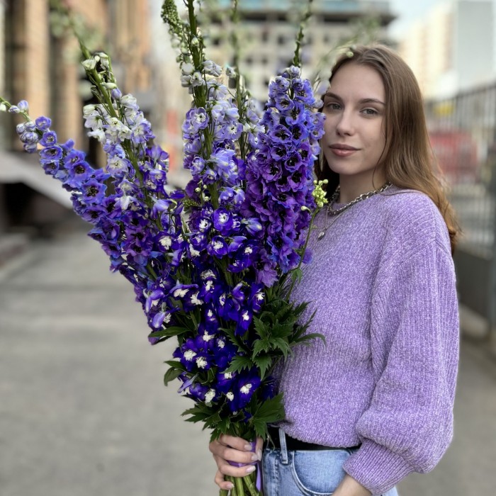 9 фиолетовых дельфиниумов