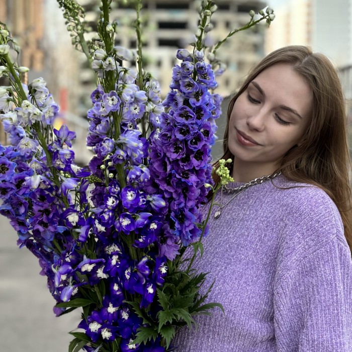 9 фиолетовых дельфиниумов