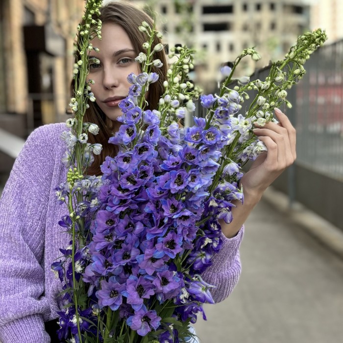 9 фиолетовых дельфиниумов