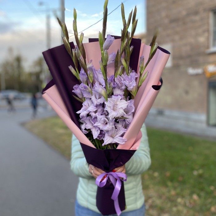 9 фиолетовых гладиолусов