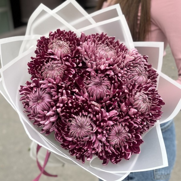 9 фиолетовых хризантем