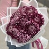9 фиолетовых хризантем