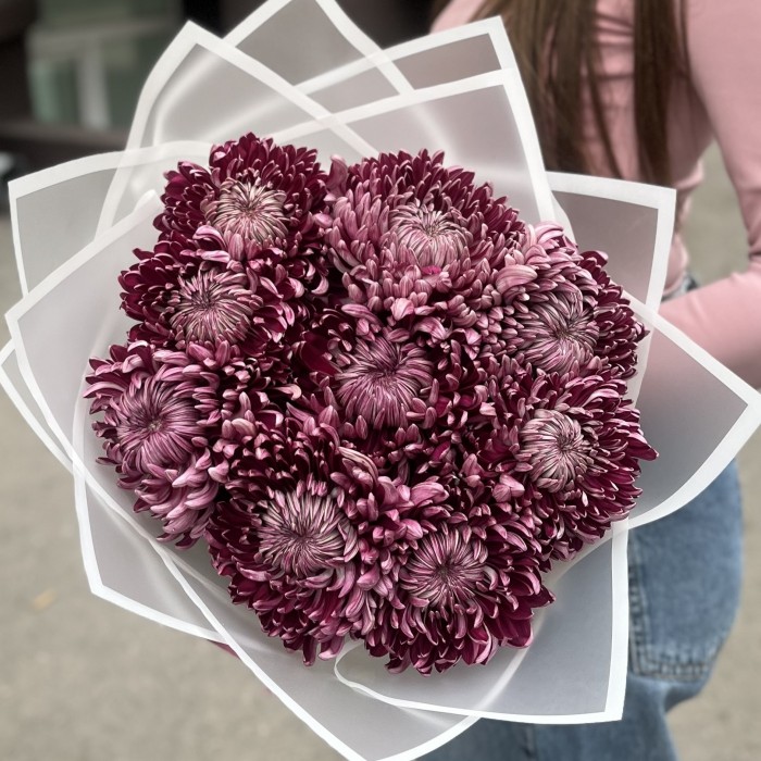 9 фиолетовых хризантем