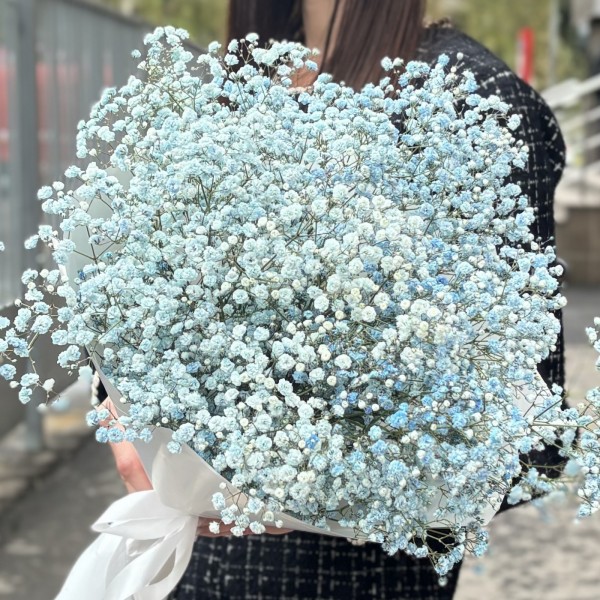 9 голубых гипсофил в упаковке