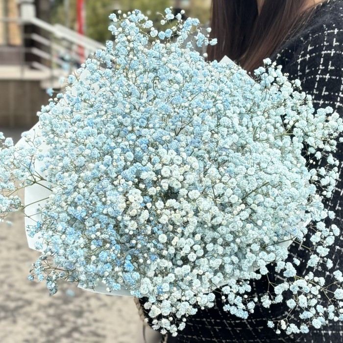 9 голубых гипсофил в упаковке