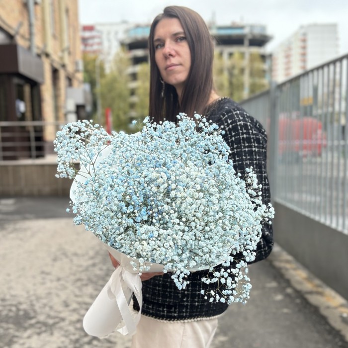 9 голубых гипсофил в упаковке