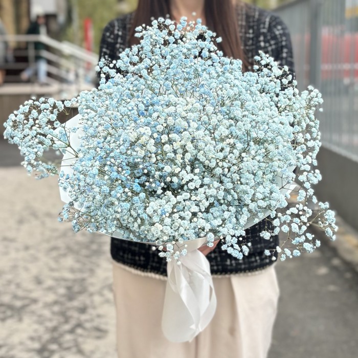 9 голубых гипсофил в упаковке