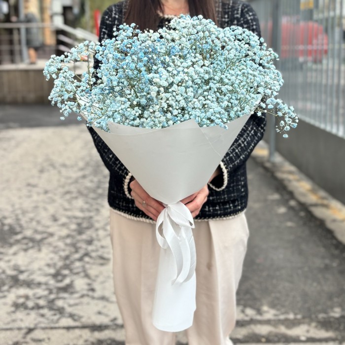 9 голубых гипсофил в упаковке