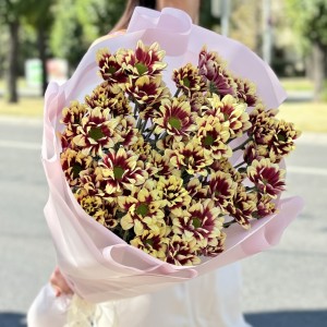 9 кустовых хризантем Хайдар Елоу