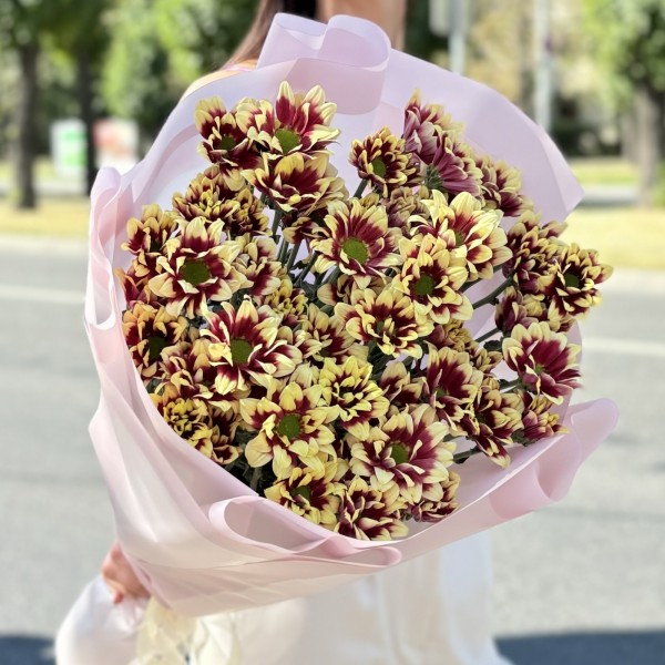 9 кустовых хризантем Хайдар Елоу