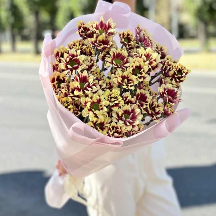 9 кустовых хризантем Хайдар Елоу