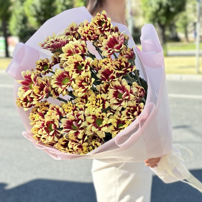 9 кустовых хризантем Хайдар Елоу