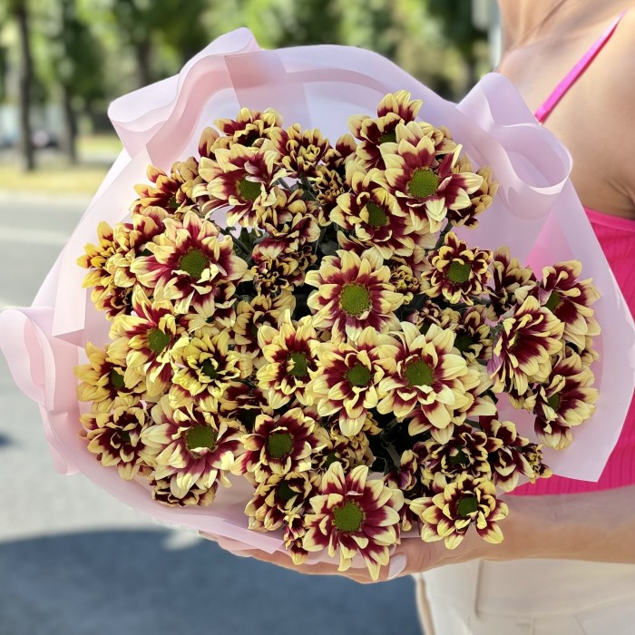 9 кустовых хризантем Хайдар Елоу