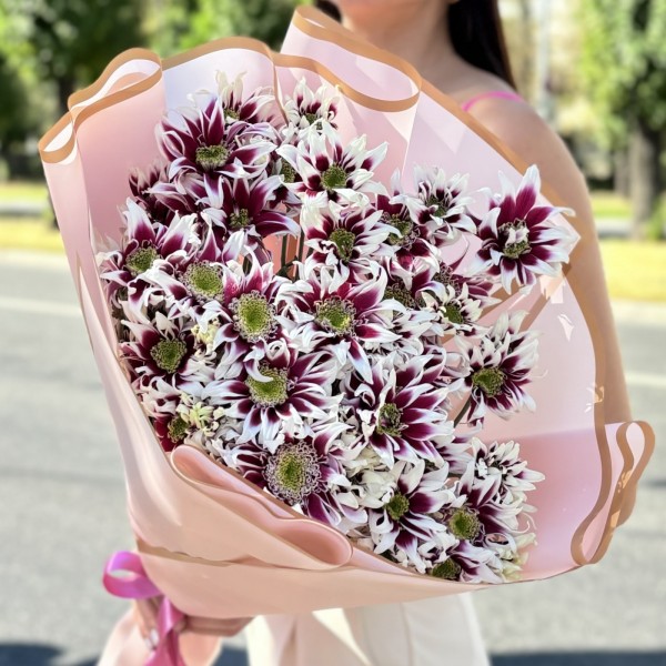 9 кустовых хризантем Саба