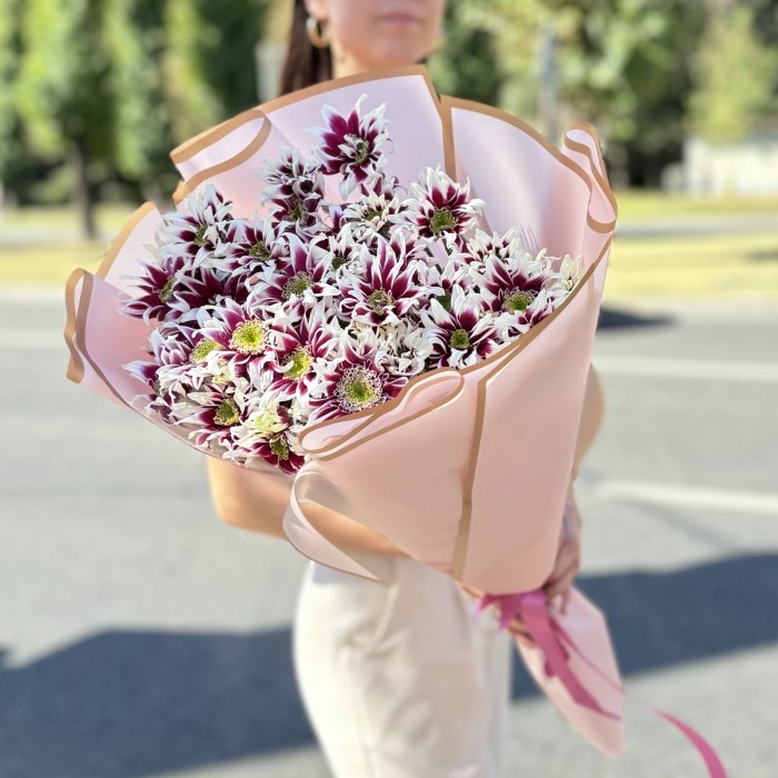 9 кустовых хризантем Саба