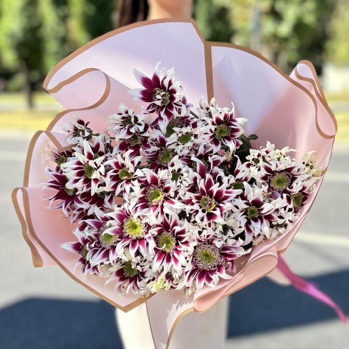 9 кустовых хризантем Саба