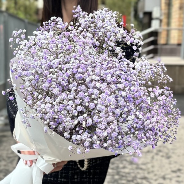 9 лавандовых гипсофил в упаковке