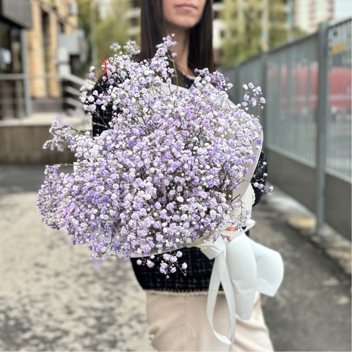 9 лавандовых гипсофил в упаковке