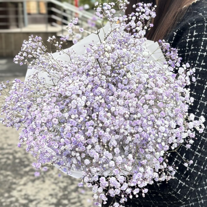 9 лавандовых гипсофил в упаковке